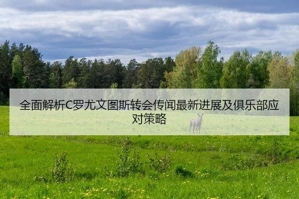 全面解析C罗尤文图斯转会传闻最新进展及俱乐部应对策略